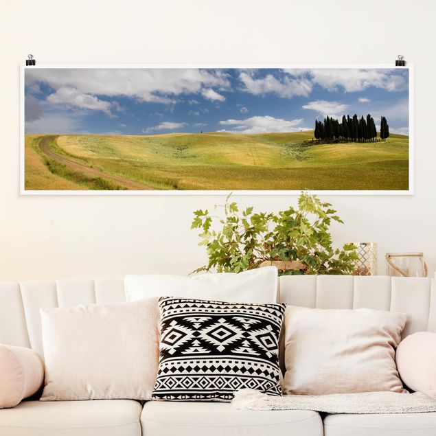 Zypressen in der Toskana Poster im kaufen Panoramaformat