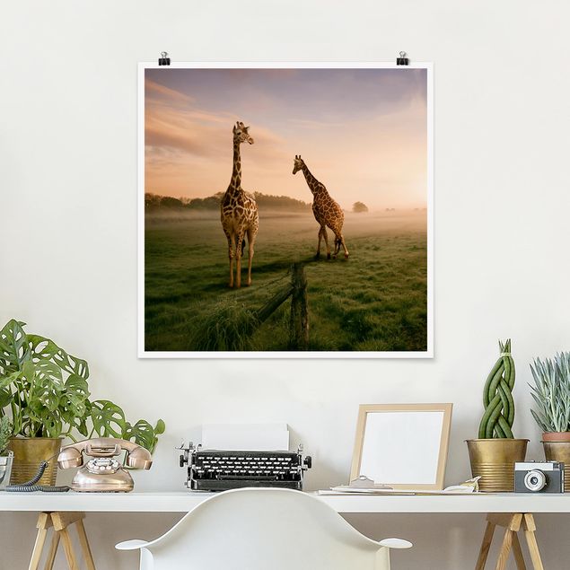 Landschaft Poster kaufen Surreal Giraffes