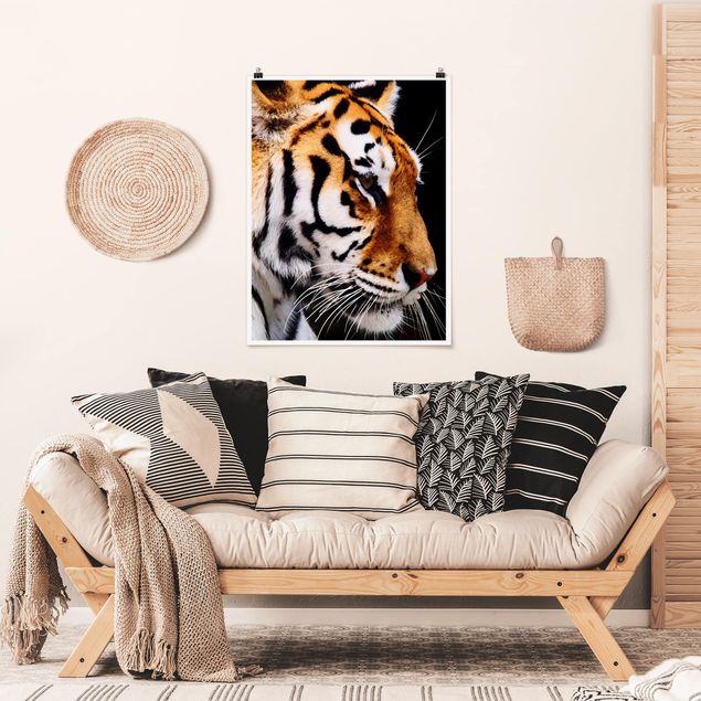 Moderne Poster Tiger Schönheit