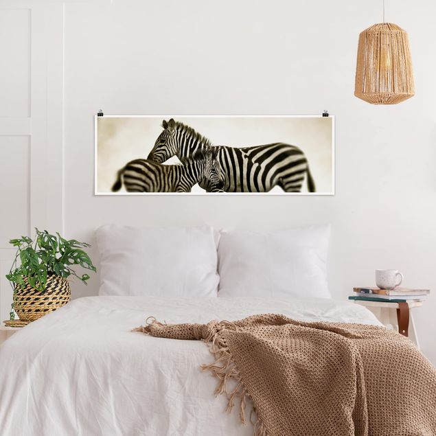 Poster schwarz-weiß Fotografie Zebrapaar