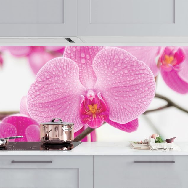 Platte Küchenrückwand Nahaufnahme Orchidee