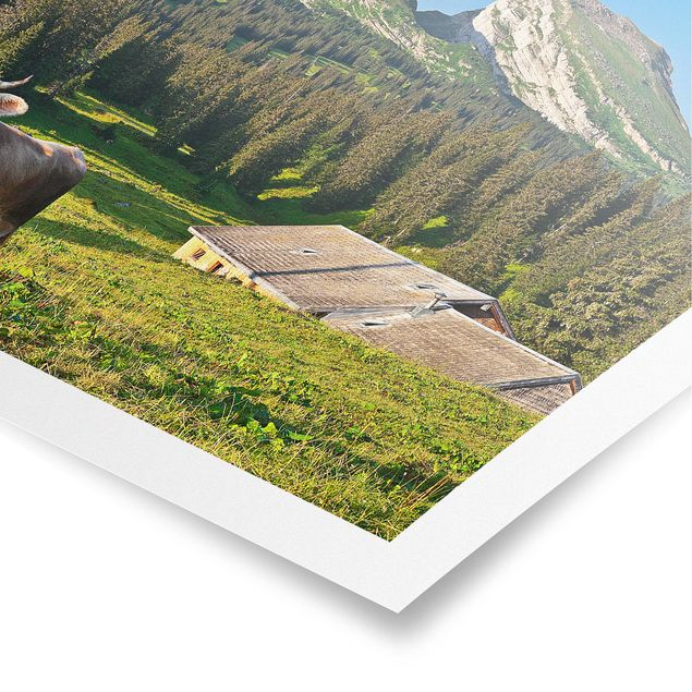 Poster Wald Schweizer Almwiese mit Kuh