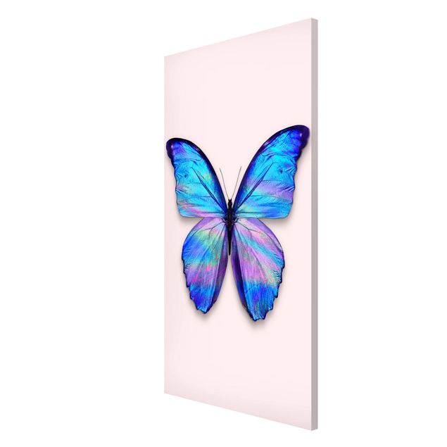 Magnettafel - Jonas Loose - Holografischer Schmetterling - Memoboard Hochformat 4:3