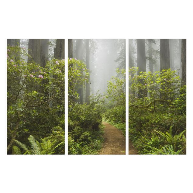 Leinwandbild 3-teilig - Nebliger Waldpfad - Hoch 1:2
