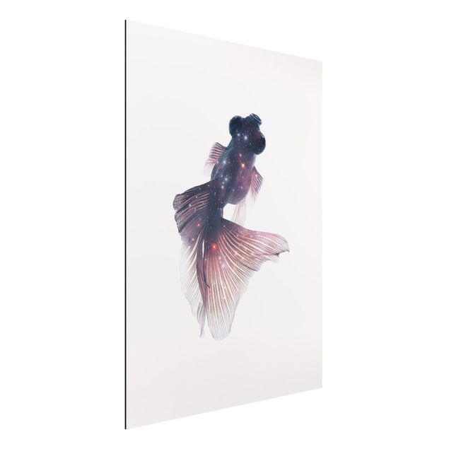 Jonas Loose Poster Fisch mit Galaxie