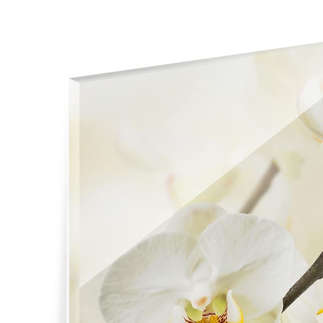 Glas Spritzschutz - Orchideen Zweig - Quadrat - 1:1
