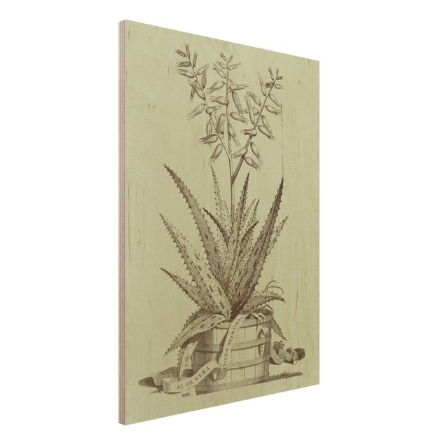 Holzbild Blumen Vintage Aloe Vera Costa Spinosa