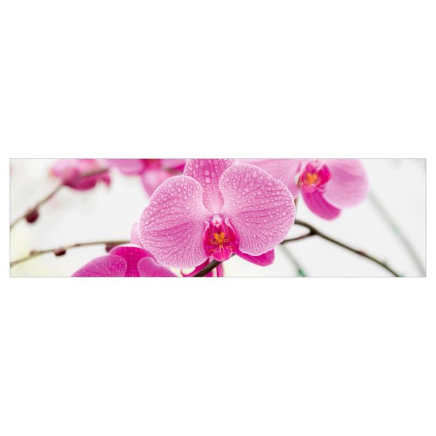 Küchenrückwand Motiv Nahaufnahme Orchidee