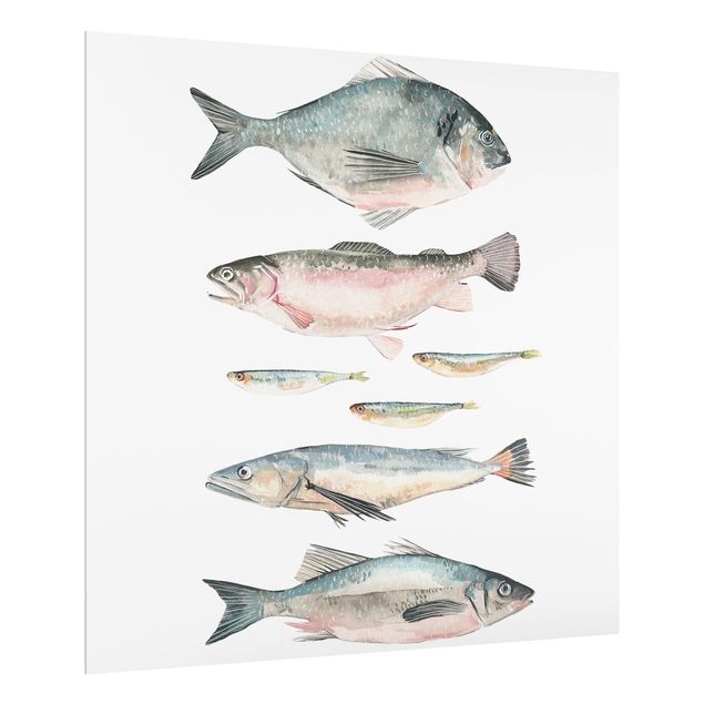 Spritzschutz Küche Sieben Fische in Aquarell II