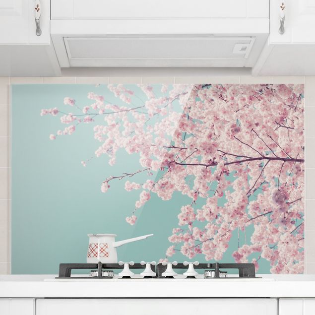 Spritzschutz Blumen Japanische Kirschblüte