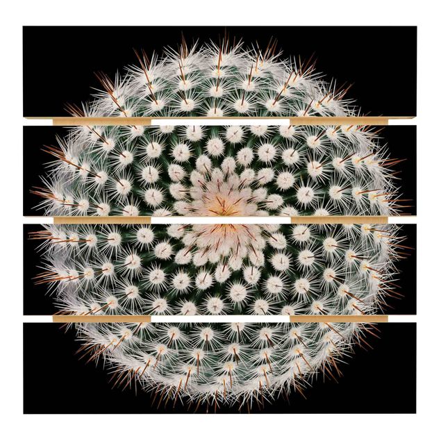 Holzbild - Kaktusblüte - Quadrat 1:1