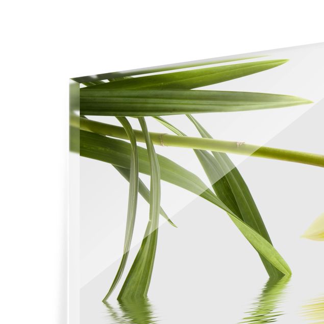 Spritzschutz Glas - Elegant Orchid Waters - Panorama - 5:2