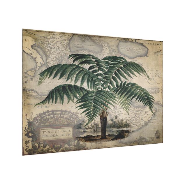 Spritzschutz Natur Vintage Collage - Palme und Weltkarte