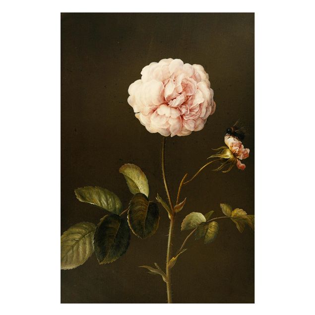 Magnettafel Blume Barbara Regina Dietzsch - Essig-Rose mit Hummel