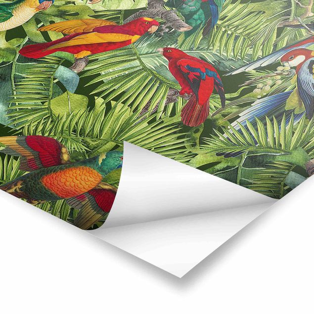 Poster - Bunte Collage - Papageien im Dschungel - Querformat 2:3