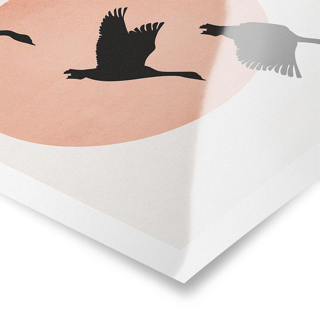 Poster bestellen Vögel vor rosa Sonne III