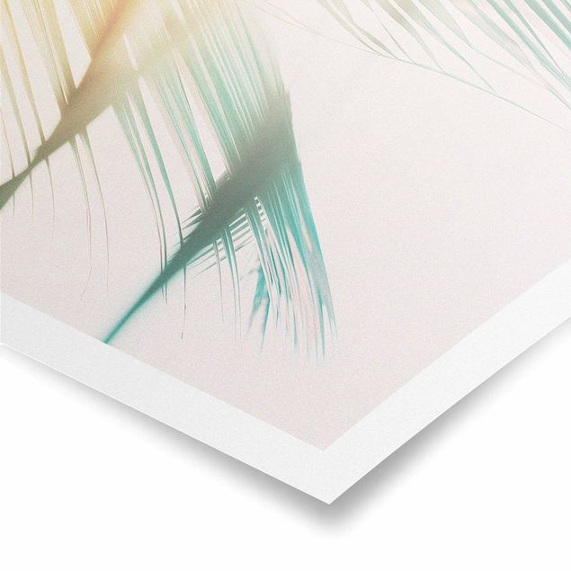 Poster bestellen Tropische Pflanzen Palmen bei Sonnenuntergang II