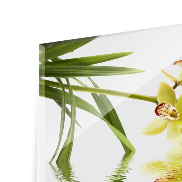 Spritzschutz Glas - Elegant Orchid Waters - Querformat - 3:2