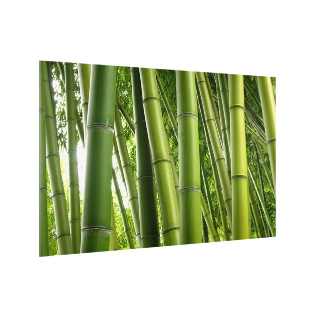 Spritzschutz Glas - Bamboo Trees - Querformat - 3:2