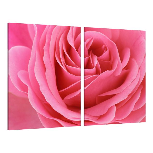 Leinwandbilder kaufen Lustful Pink Rose
