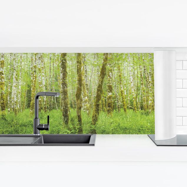 Küchenrückwand selbstklebend Hoh Rainforest Olympic National Park