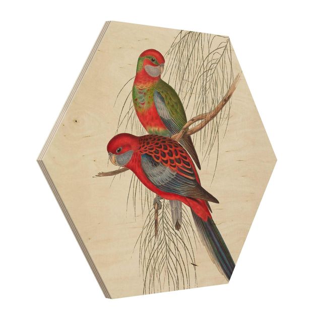 Hexagon Bild Holz - Tropische Papageien III