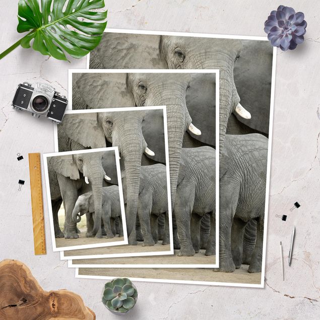 Poster - Elefantenliebe - Hochformat 3:4