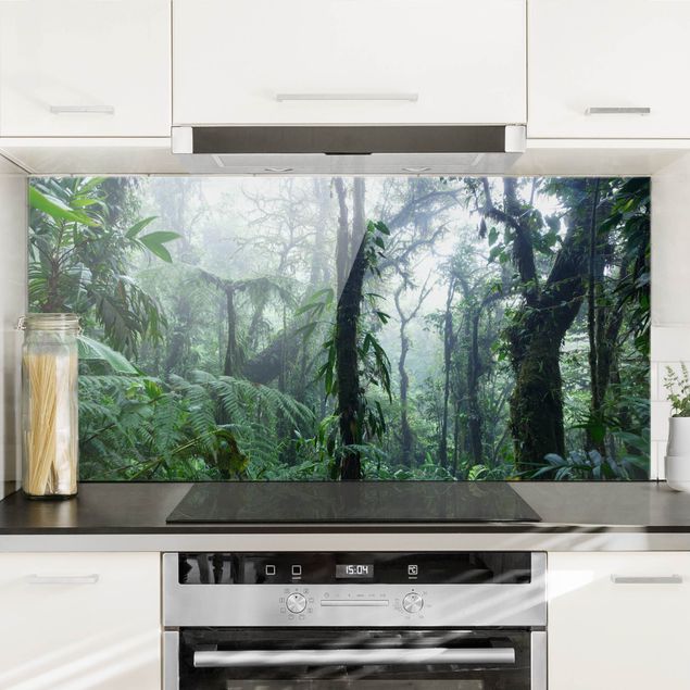 Glasrückwand Küche Wald Monteverde Nebelwald