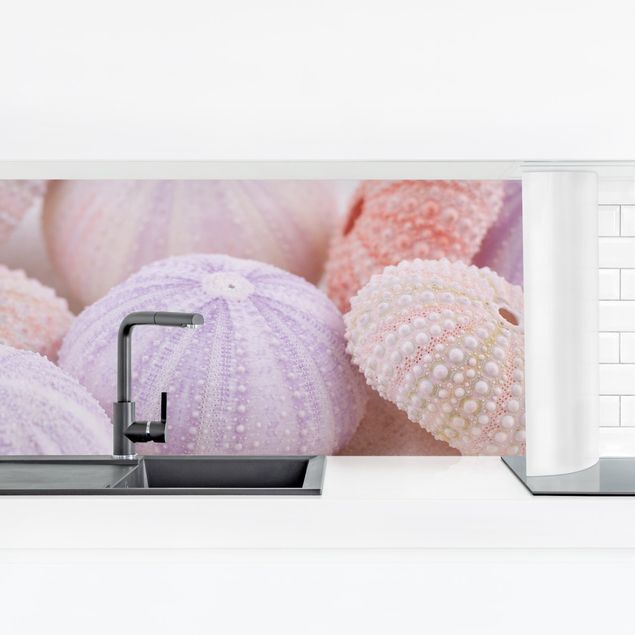 Küchenrückwand selbstklebend Seeigel in Pastell