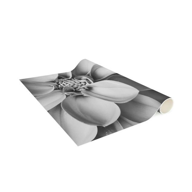 Teppich Blumenmuster Im Herzen einer Dahlie Schwarz-Weiß