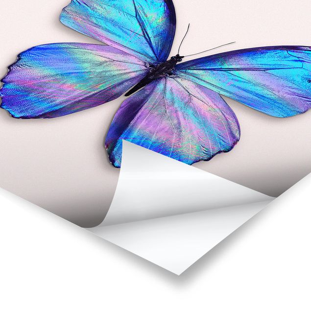 Poster Holografischer Schmetterling