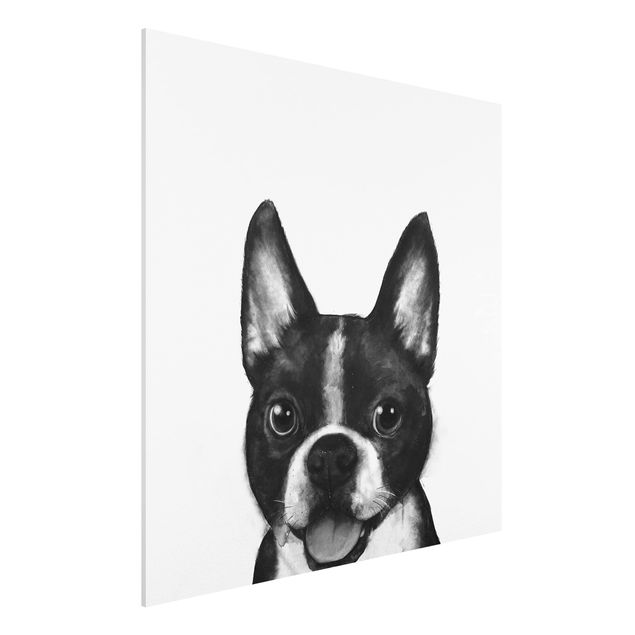 Bilder Illustration Hund Boston Schwarz Weiß Malerei
