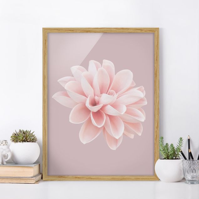 Moderne Bilder mit Rahmen Dahlie Blume Lavendel Rosa Weiß