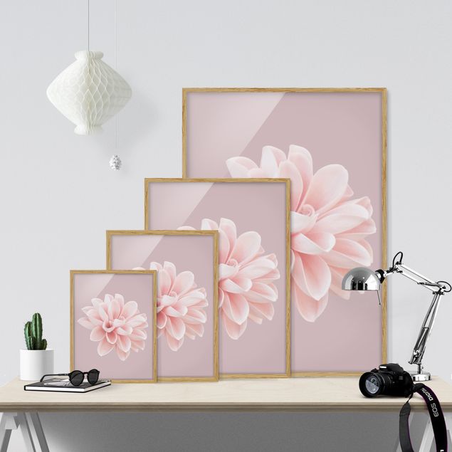 Bild mit Rahmen - Dahlie Blume Lavendel Rosa Weiß - Hochformat