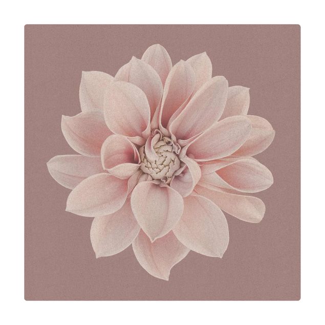 Kork-Teppich - Dahlie Blume Lavendel Weiß Rosa - Quadrat 1:1