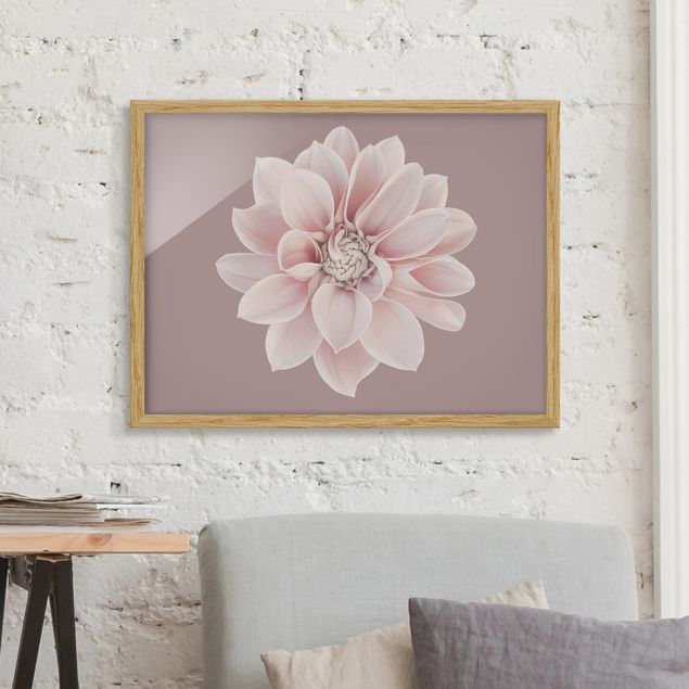 Moderne Bilder mit Rahmen Dahlie Blume Lavendel Weiß Rosa