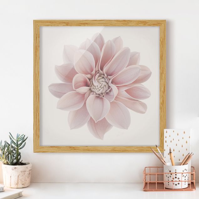 Moderne Bilder mit Rahmen Dahlie Blume Pastell Weiß Rosa