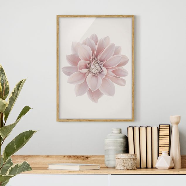 Blumen Bilder mit Rahmen Dahlie Blume Pastell Weiß Rosa