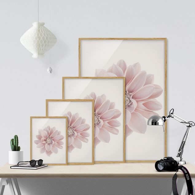 Bild mit Rahmen - Dahlie Blume Pastell Weiß Rosa - Hochformat