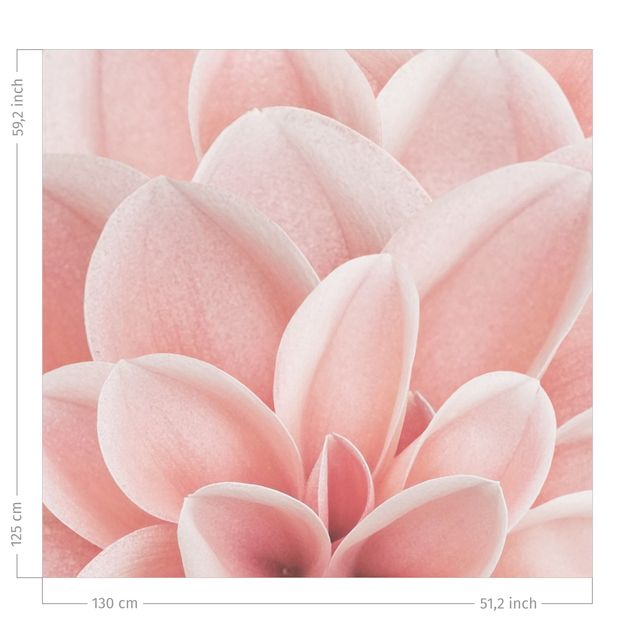 Vorhang Verdunkelung Dahlie Rosa Blütenblätter Detail