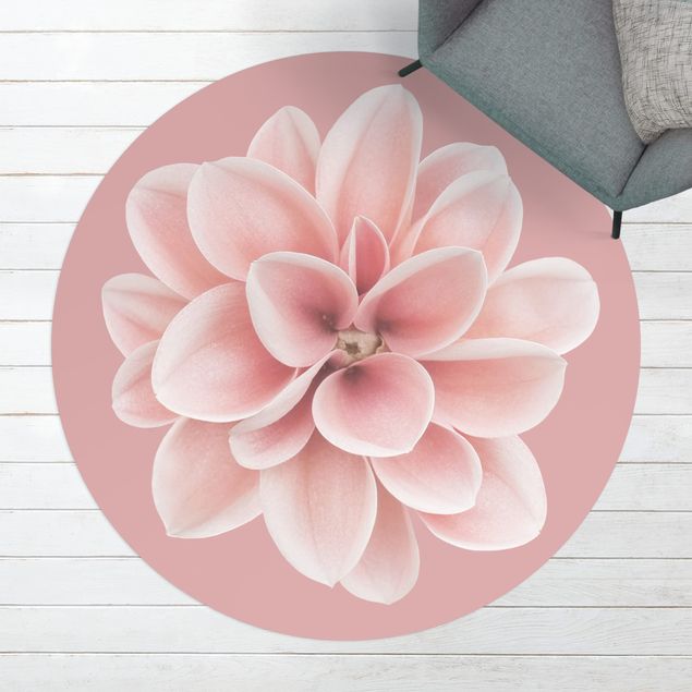 Moderne Teppiche Dahlie Rosa Blush Blume Zentriert
