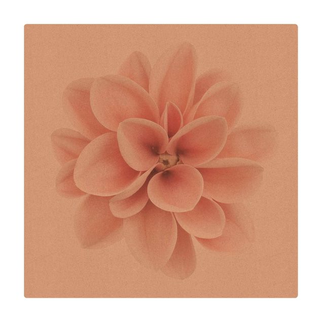 Kork-Teppich - Dahlie Rosa Pastell Blume Zentriert - Quadrat 1:1