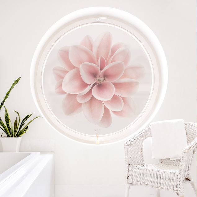 Fensterfolie farbig Dahlie Rosa Pastell Blume Zentriert