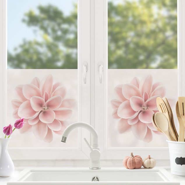 Klebefolie für Fenster Dahlie Rosa Pastell Blume Zentriert