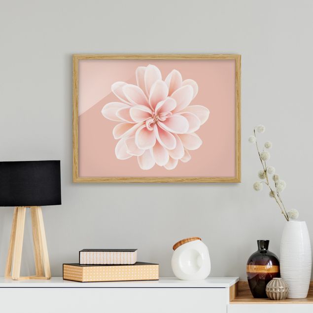 Blumen Bilder mit Rahmen Dahlie Rosa Pastell Weiß Zentriert