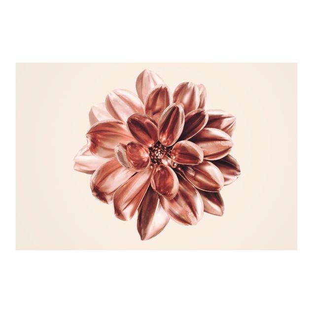 Fototapete - Dahlie Rosegold Metallic Rosa - Querformat