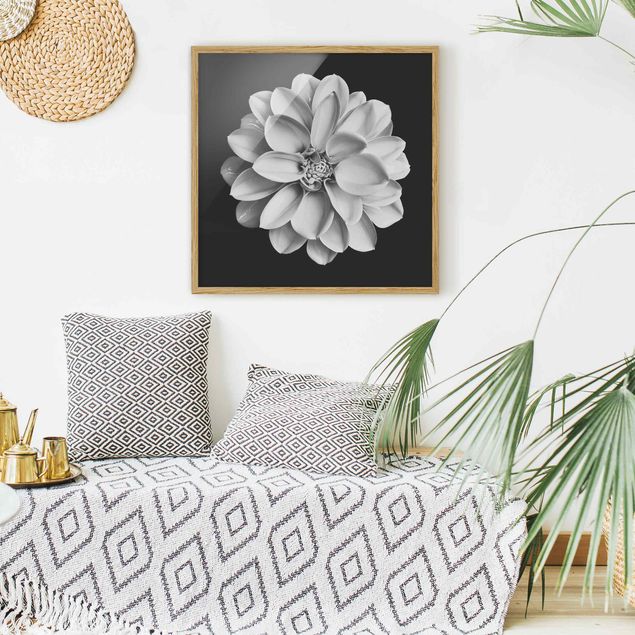 Blumen Bilder mit Rahmen Dahlie Schwarz Weiß