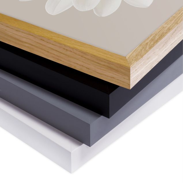 Bild mit Rahmen - Dahlie Weiß Taupe Pastell Zentriert - Quadrat