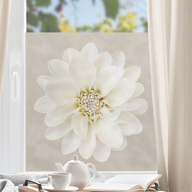 Blumen Fensterbild Dahlie Weiß Taupe Pastell Zentriert