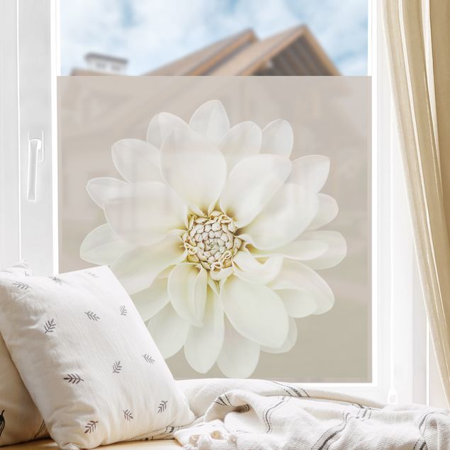 Fensterfolie Motiv Blumen Dahlie Weiß Taupe Pastell Zentriert